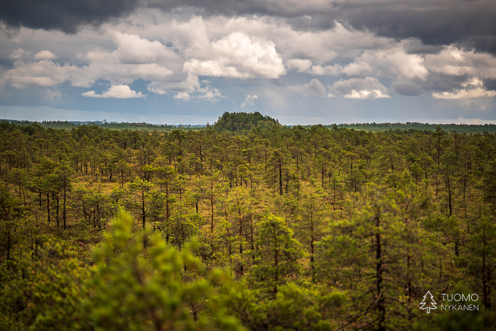 Isosuo tarjoaa kansallispuiston retkimahdollisuudet ja Puurijärvi lintutornit.