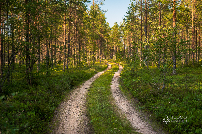 Hailuodossa maasto kuluu helposti.