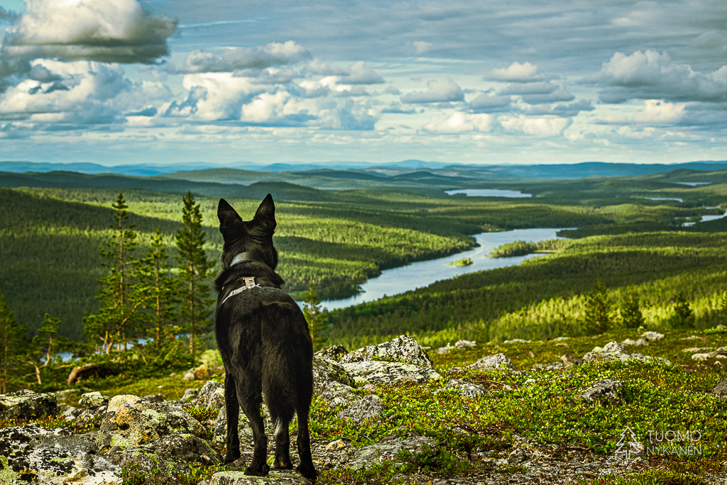 Lemmenjoen jokilaakso on kansallismaisemaa parhaimmillaan.