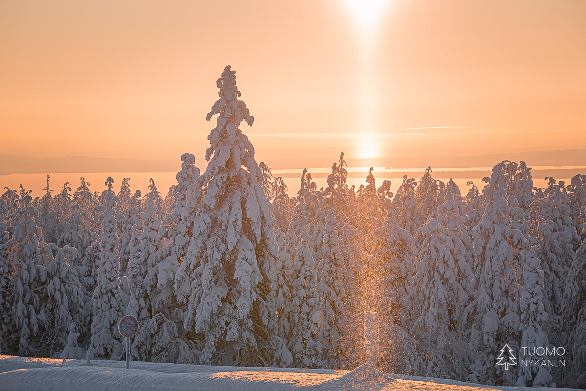 Riisitunturin valo ja tykkylumi on talven hienoimpia näytöksiä.