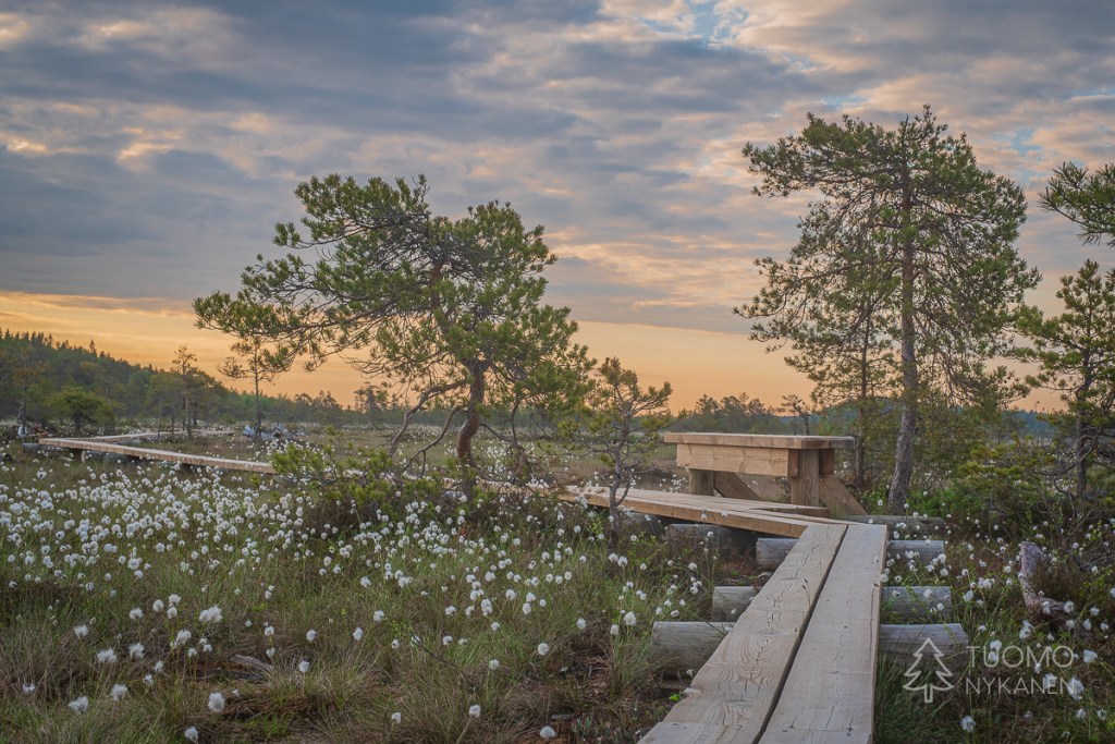 Torronsuon pitkoksien varrella on kaksi levähdyspaikkaa.