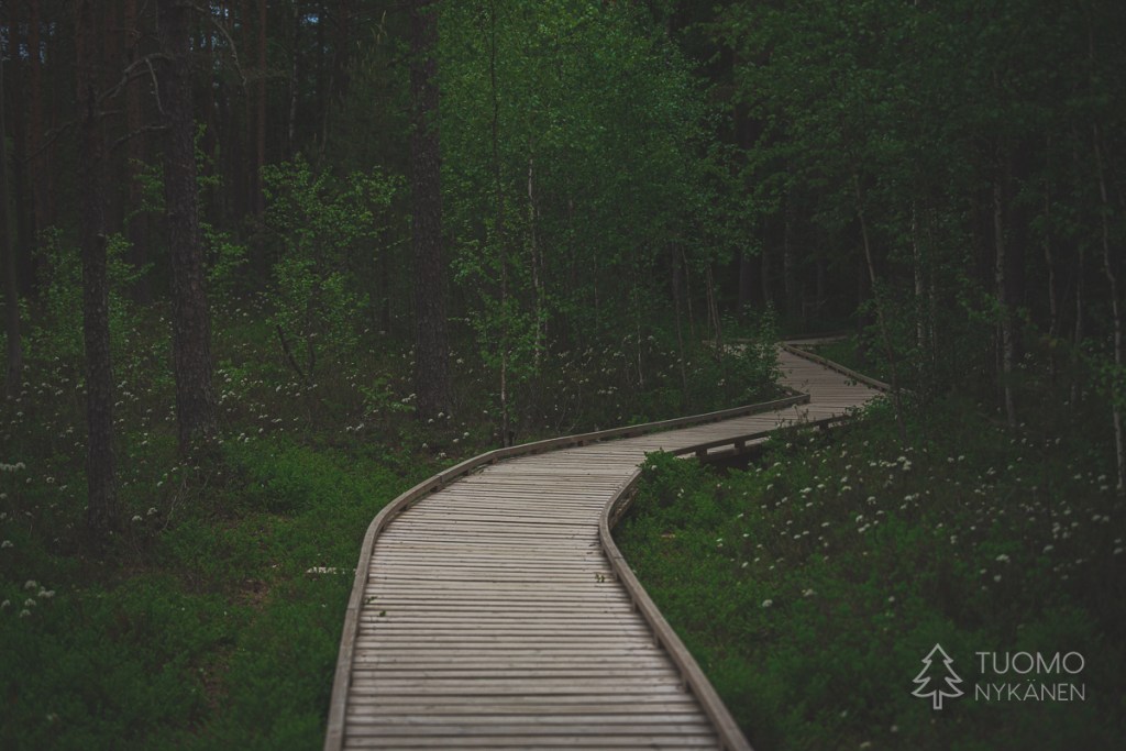 Torronsuolla on kaksi esteetöntä pitkosreittiä katselulavoille.